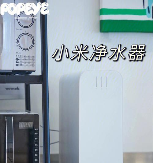 小米净水器油漆味如何处理（解决小米净水器出现油漆味的方法）